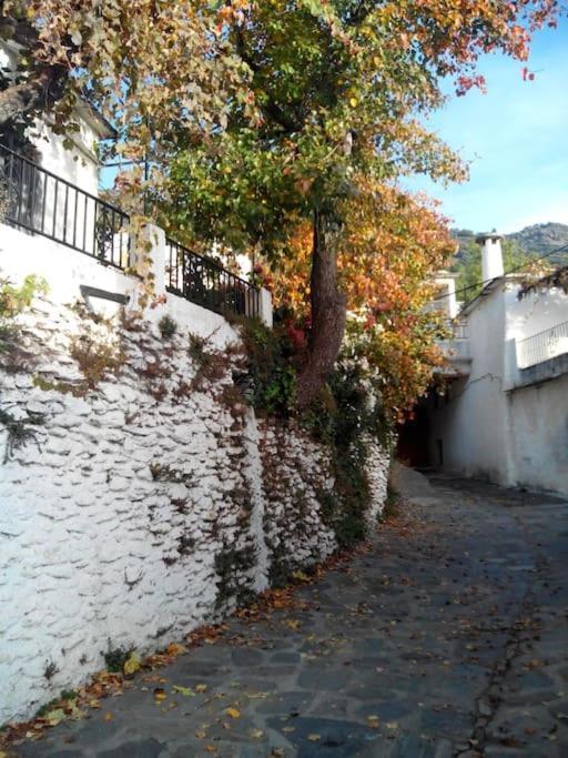 Casa Margarita Villa Bubión Eksteriør billede